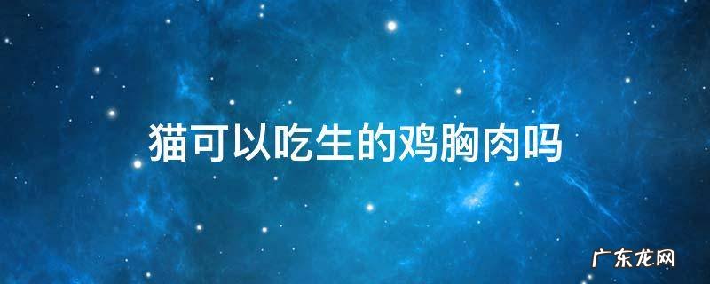 鸡胸肉猫能生吃吗 猫可以吃生的鸡胸肉吗