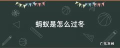 蚂蚁是怎么过冬的 简笔画 蚂蚁是怎么过冬