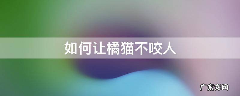 如何让橘猫不咬人 怎么训练橘猫不咬人