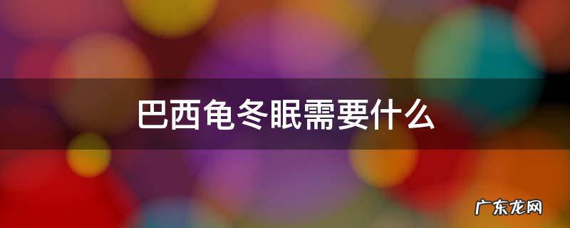 巴西龟冬眠需要什么沙子 巴西龟冬眠需要什么