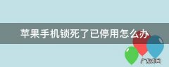 苹果手机锁死了已停用怎么办 iphone被锁了已停用怎么办