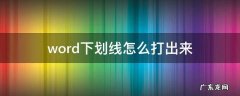 word下划线怎么打出来不显示 word下划线怎么打出来