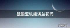 硫酸亚铁能浇兰花吗? 硫酸亚铁能浇兰花吗