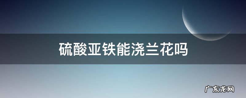 硫酸亚铁能浇兰花吗? 硫酸亚铁能浇兰花吗