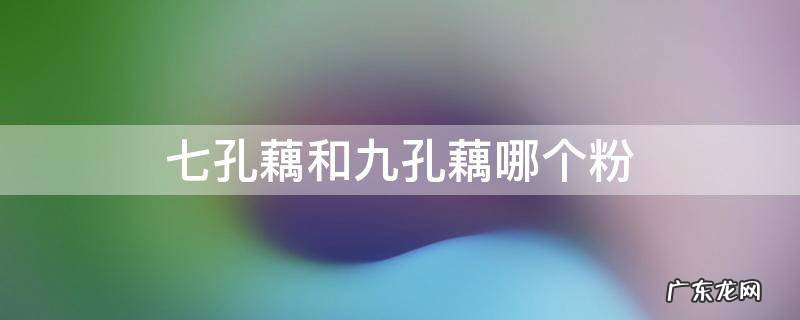 七孔藕和九孔藕哪种是粉的 七孔藕和九孔藕哪个粉
