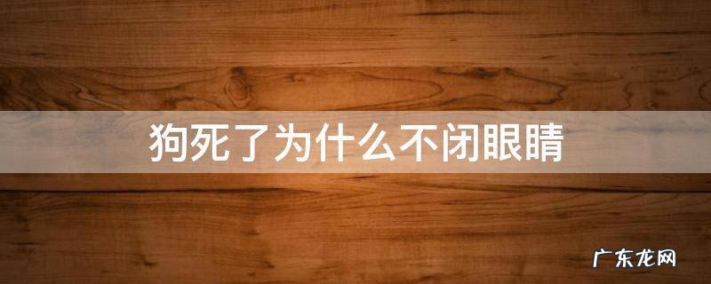 狗死了为什么不闭眼睛 狗狗死了为什么不闭眼睛