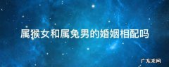 属猴女和属兔男的婚姻相配吗 属猴女配属兔男婚姻好不好