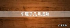 车厘子几月成熟 智利车厘子几月成熟