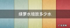 绿萝水培水里加什么好 绿萝水培放多少水