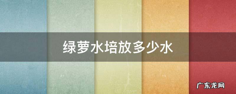 绿萝水培水里加什么好 绿萝水培放多少水