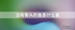 没有骨头的鱼有哪些 没有骨头的鱼是什么鱼