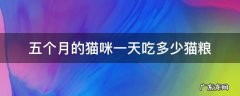 5个月的猫咪一天吃多少猫粮 五个月的猫咪一天吃多少猫粮