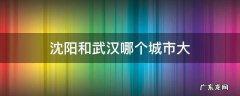 沈阳和武汉哪个城市大 沈阳和武汉哪个城市大人口多