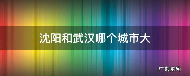 沈阳和武汉哪个城市大 沈阳和武汉哪个城市大人口多