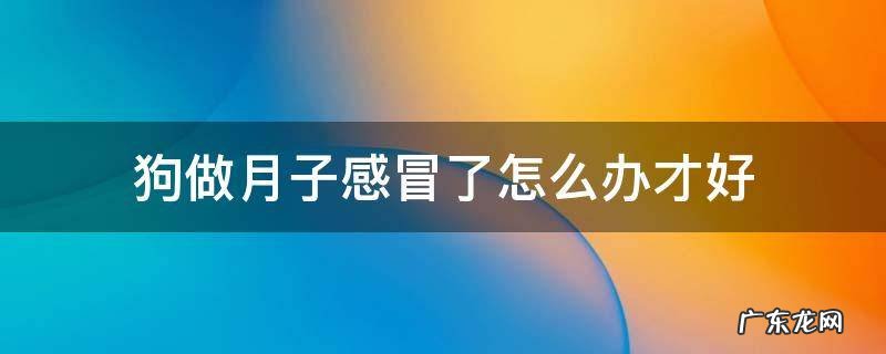 坐月子感冒怎么办才好 狗做月子感冒了怎么办才好