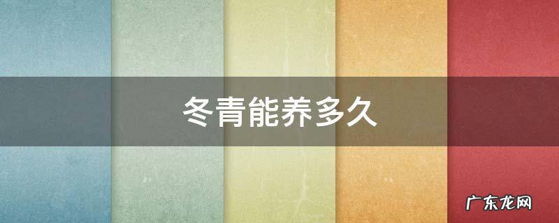 盆栽冬青能养多久 冬青能养多久