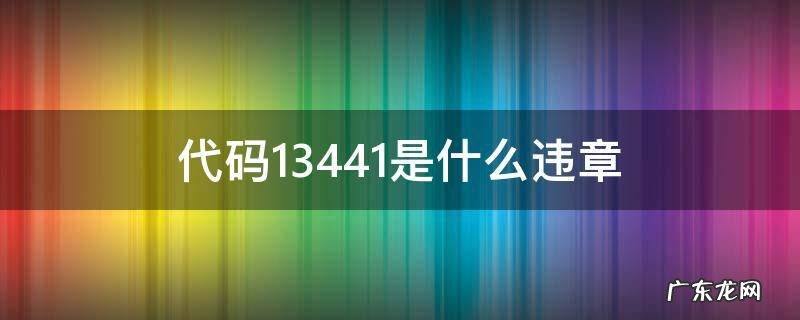 代码13441是什么违章 违章代码13441是什么违章