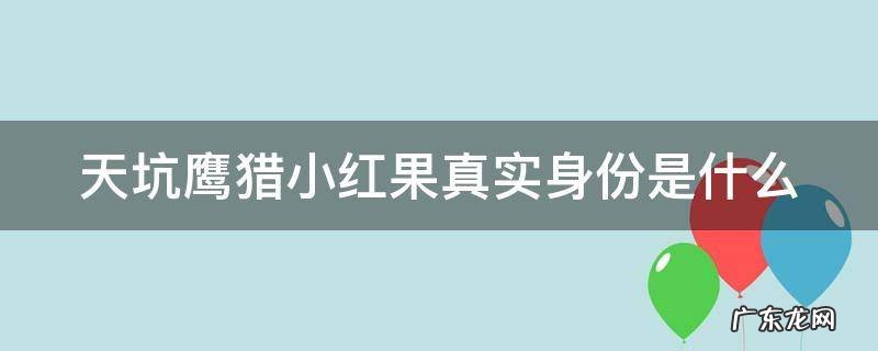天坑鹰猎小红果真实身份是什么 天坑鹰猎中小丁的身份