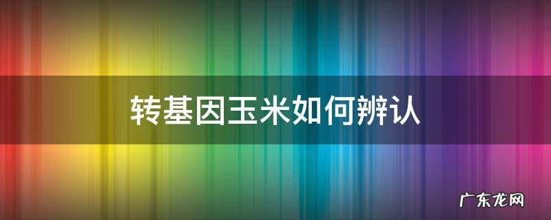转基因玉米怎样识别 转基因玉米如何辨认