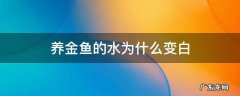 养金鱼的水为什么老是变白 养金鱼的水为什么变白