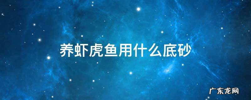 养虾虎鱼用什么底砂 养虎鱼可以配底沙吗