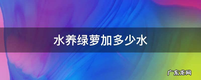 水养绿萝加多少水 水养绿萝加多少水合适