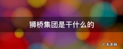 狮桥集团是干嘛的 狮桥集团是干什么的