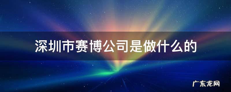 深圳市赛博公司是做什么的 深圳市赛博有限公司