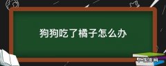 狗狗吃了橘子怎么办? 狗狗吃了橘子怎么办