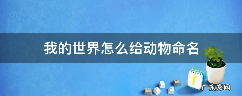 我的世界怎么给动物命名 我的世界怎么给动物命名牌