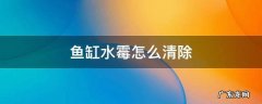 鱼缸水霉怎么清除 有水霉的缸怎么清理?