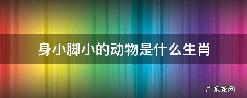 身小脚小的动物是什么生肖 欲钱买身小脚小的动物是什么生肖