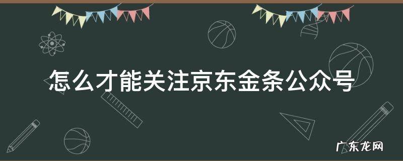怎么才能关注京东金条公众号 如何关注京东金条公众号
