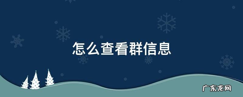 如何查看群信息 怎么查看群信息