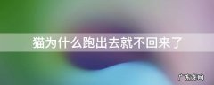 猫跑出去不回来的原因 猫为什么跑出去就不回来了