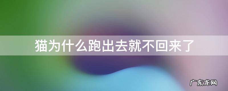 猫跑出去不回来的原因 猫为什么跑出去就不回来了