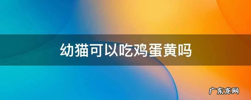 幼猫可以吃鸡蛋黄吗 三个月幼猫可以吃鸡蛋黄吗