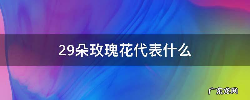 29朵玫瑰花代表什么 玫瑰花29朵代表什么意义