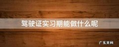 驾驶证实习期能做什么呢