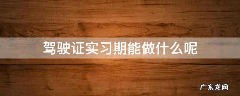驾驶证实习期能做什么呢