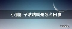 小猫肚子咕咕叫是怎么回事 小猫肚子咕咕叫是怎么回事儿