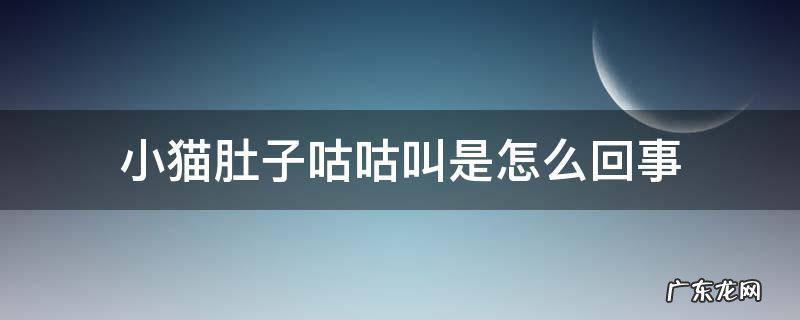 小猫肚子咕咕叫是怎么回事 小猫肚子咕咕叫是怎么回事儿