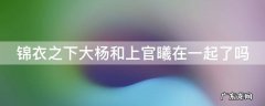 锦衣之下上官和杨岳 锦衣之下大杨和上官曦在一起了吗