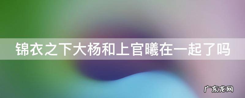 锦衣之下上官和杨岳 锦衣之下大杨和上官曦在一起了吗