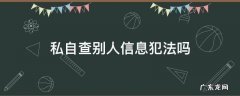 私自查别人信息违法吗 私自查别人信息犯法吗