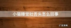 猫咪睡觉吐小舌头 小猫睡觉吐舌头怎么回事