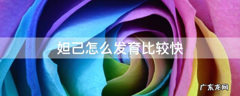 王者妲己怎么发育最快 妲己怎么发育比较快