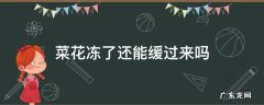 菜花冻了还能缓过来吗 菜花可以冻起来吗