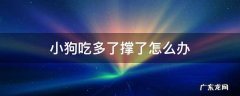 小狗吃多了撑了怎么办 小狗吃吃撑了怎么办
