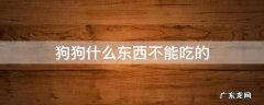 狗狗什么东西不能吃的 什么东西狗狗不可以吃